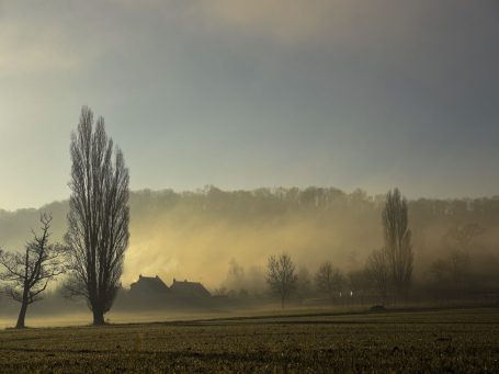L'or des jours Paysage embrumé